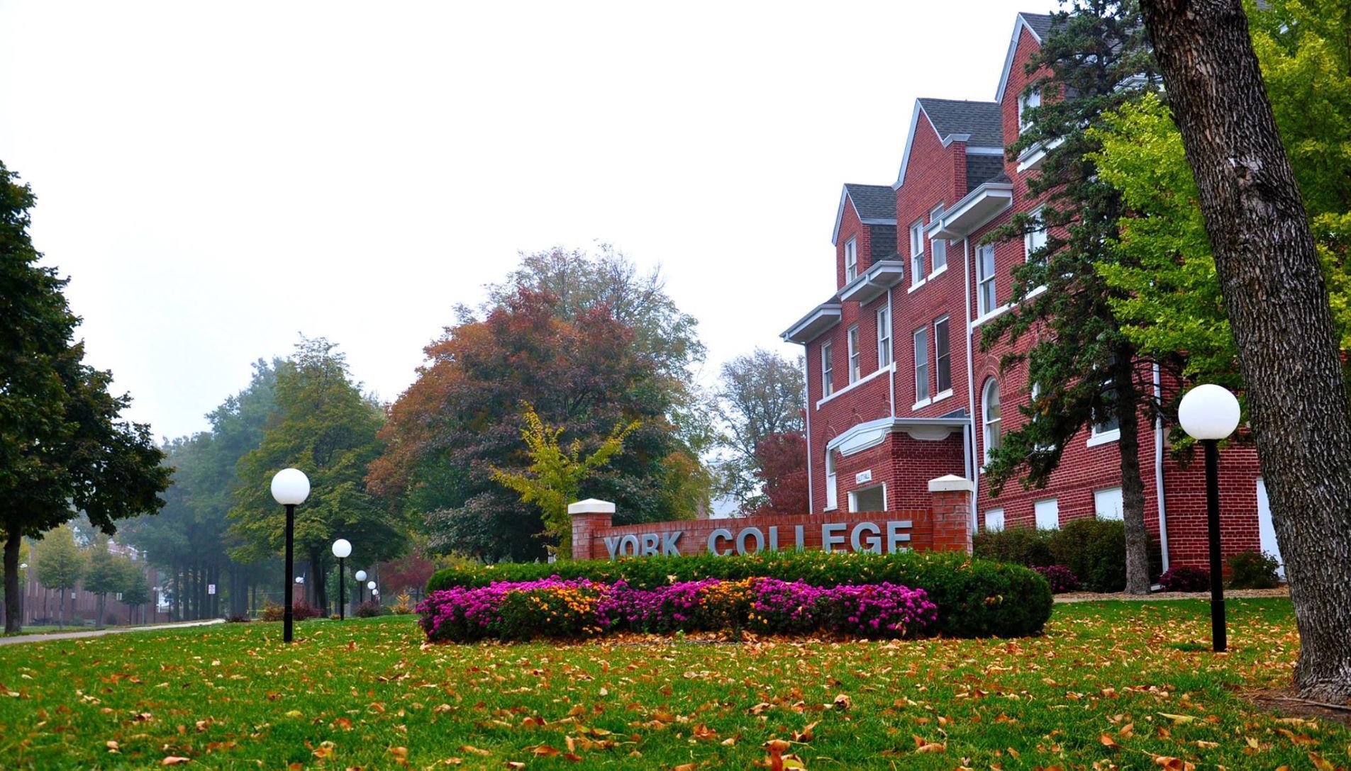 York College